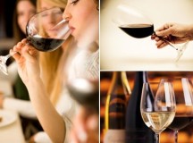 Degustação de vinho