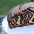 Bolo Zebra