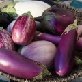 Eggplant