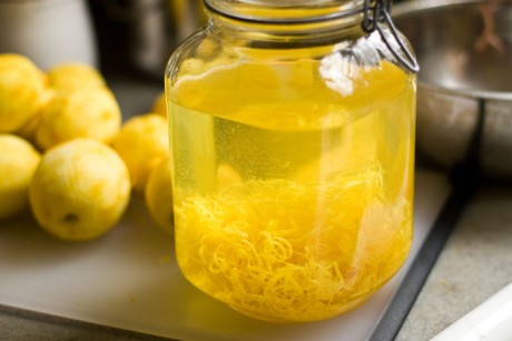 limoncello-part-1-fin-storage-web