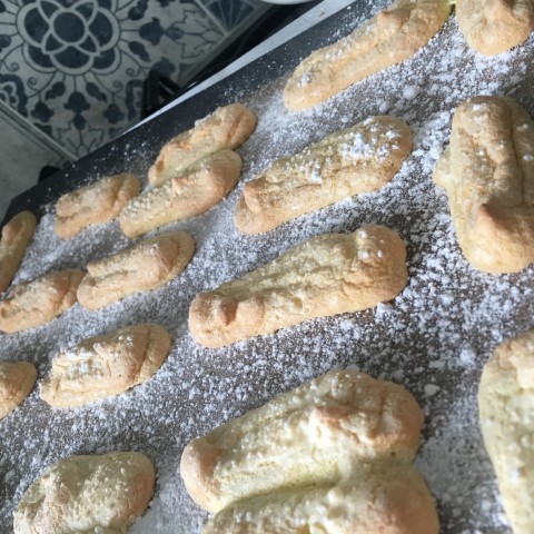 tiramisu biscoitos